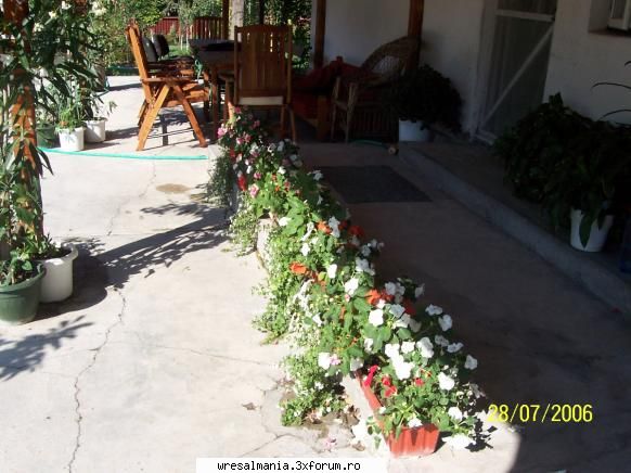 hai mai repede cazi :rotfl:  :zzz:  :zzz:  :rotfl:  :zzz:  :finger:  :finger: